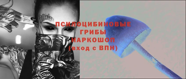 таблы Богородицк
