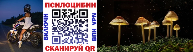 Галлюциногенные грибы MAGIC MUSHROOMS купить наркотик Гороховец